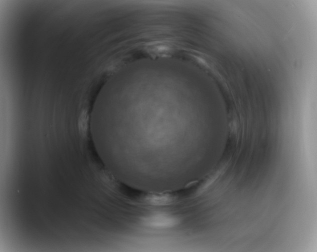 X0000089690767200707051625