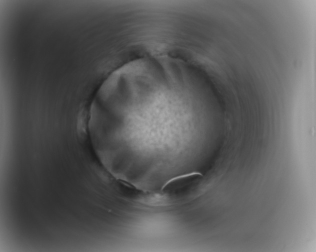 X0000089690768200707051625