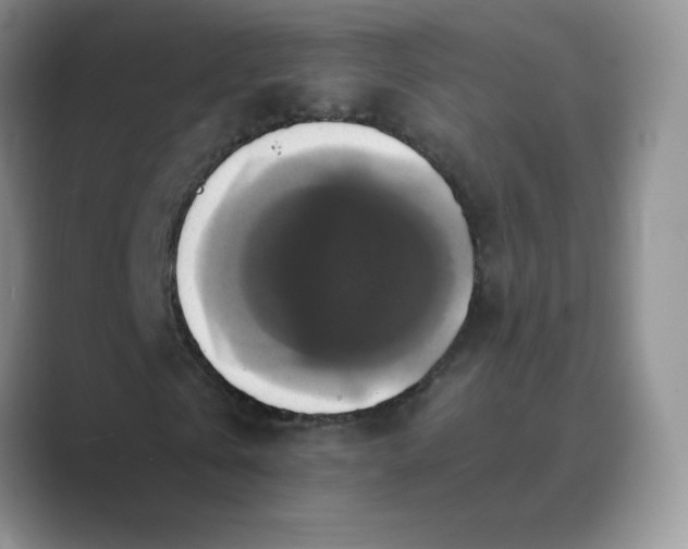 X0000089690769200707051624