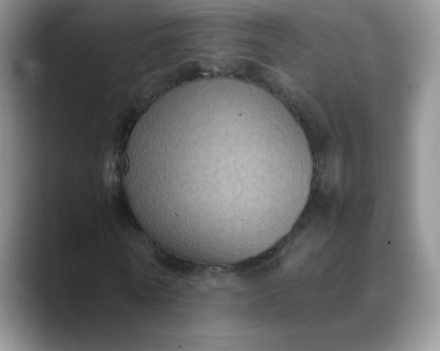 X0000089690770200707051624