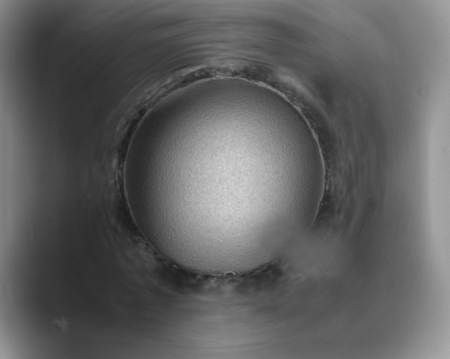 X0000089690773200707051624