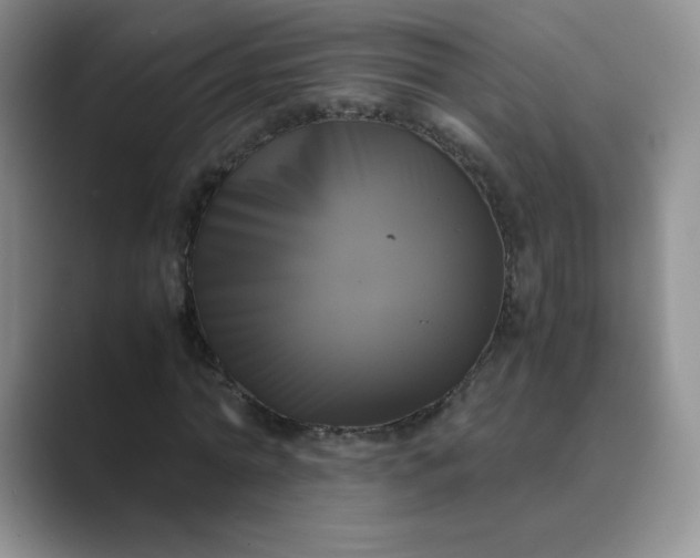 X0000089690774200707051624