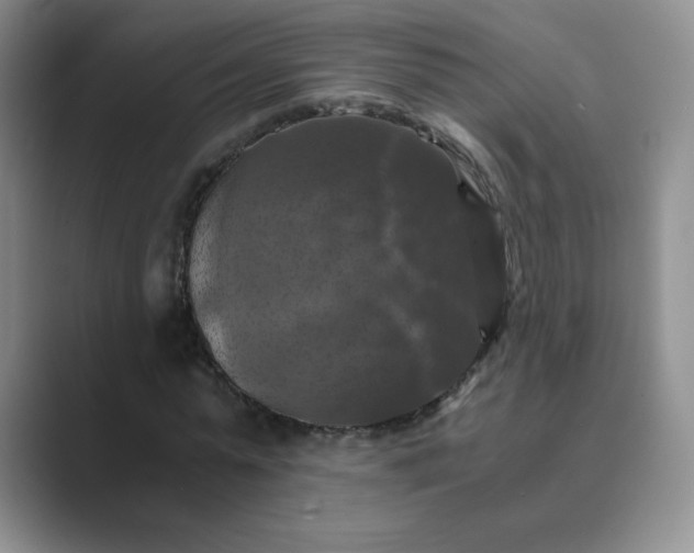 X0000089690775200707051624