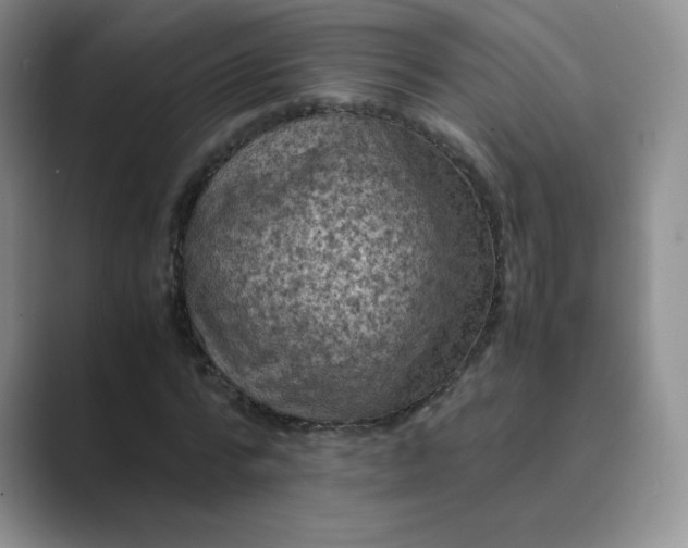 X0000089690776200707051624