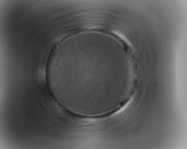 X0000089690777200707051624