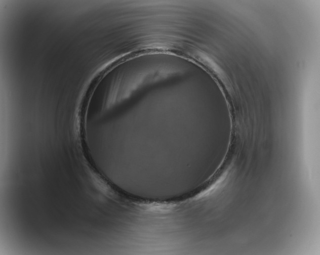 X0000089690779200707051624