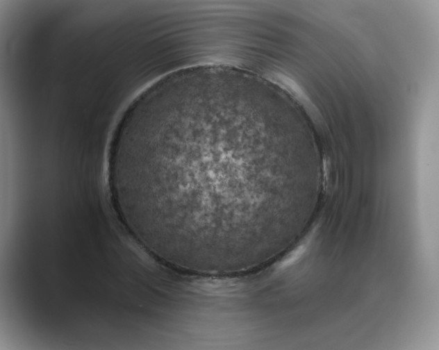 X0000089690780200707051624