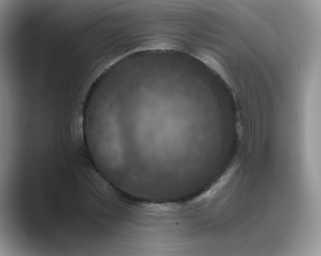 X0000089690781200707051624