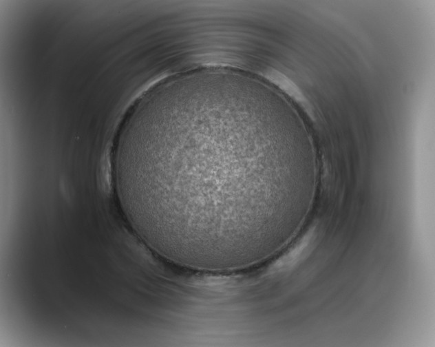 X0000089690782200707051624