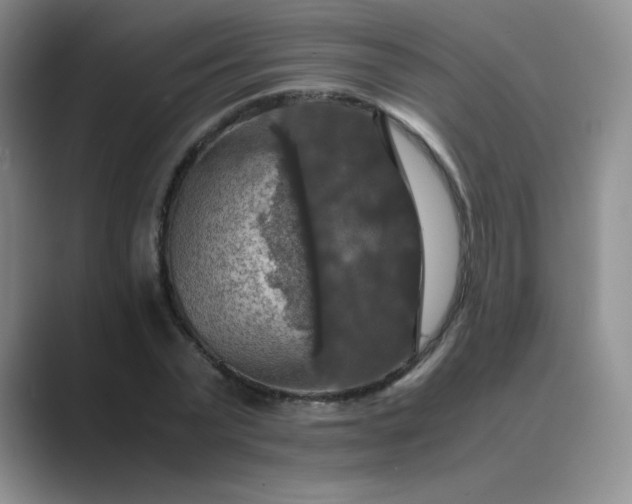 X0000089690783200707051624