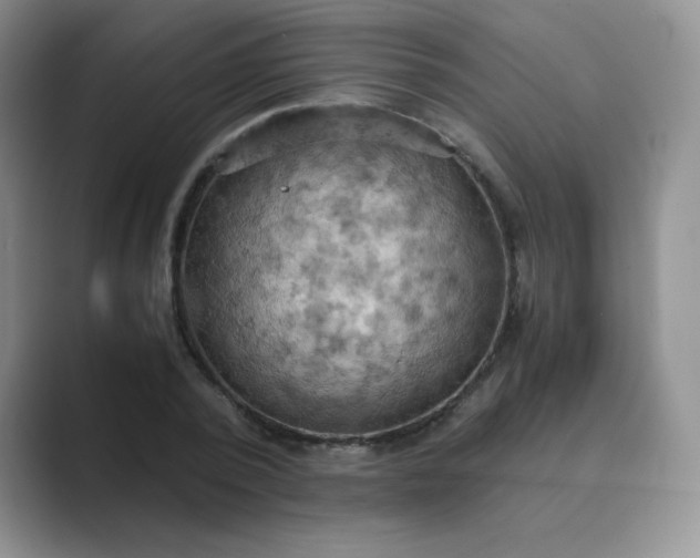 X0000089690784200707051624