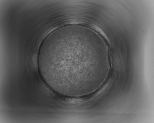 X0000089690786200707051624