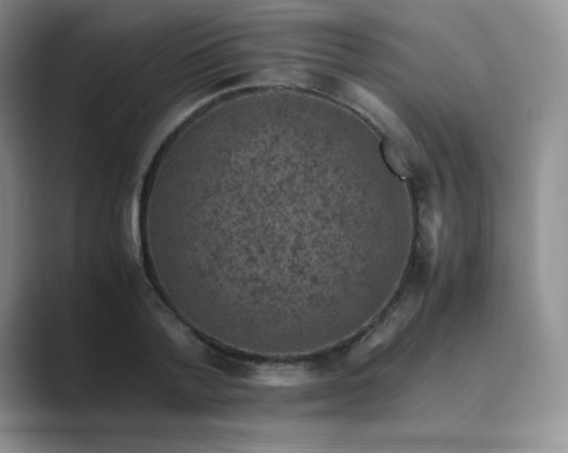 X0000089690788200707051624