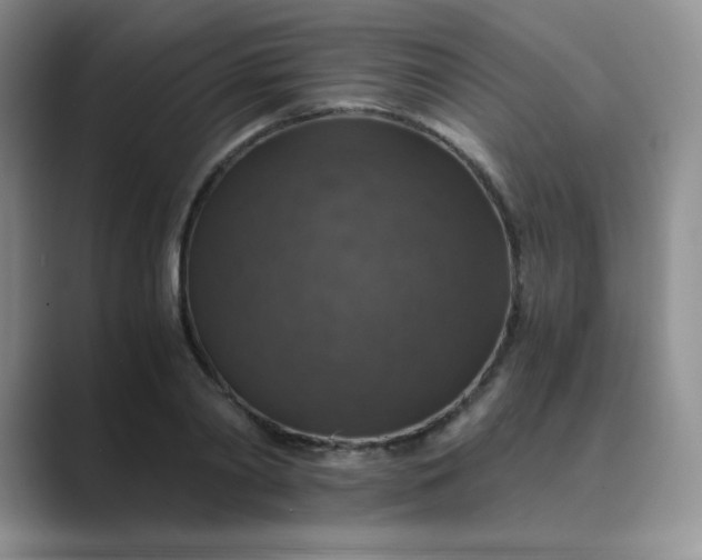 X0000089690790200707051624