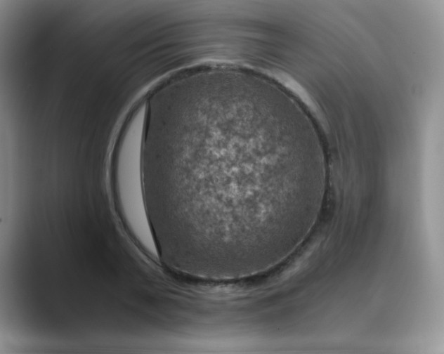 X0000089690791200707051624