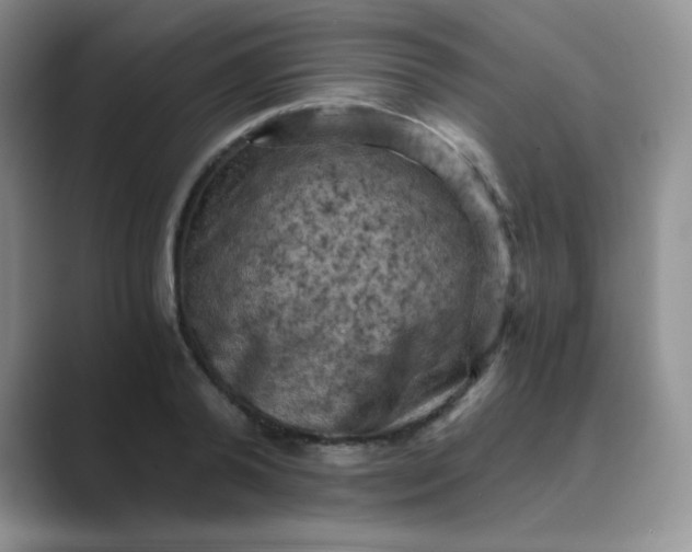 X0000089690792200707051624