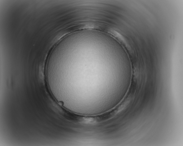 X0000089690794200707051624