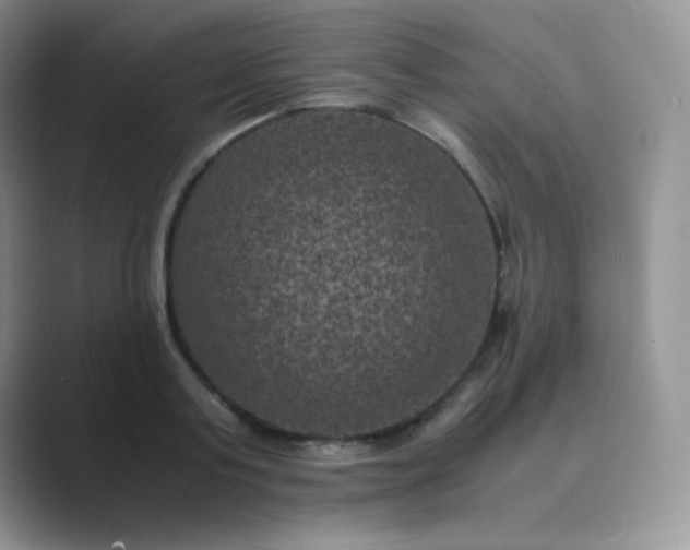 X0000089690795200707051624