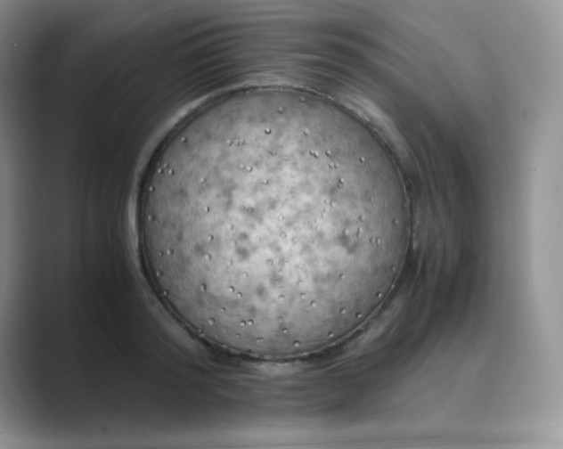 X0000089690796200707051624