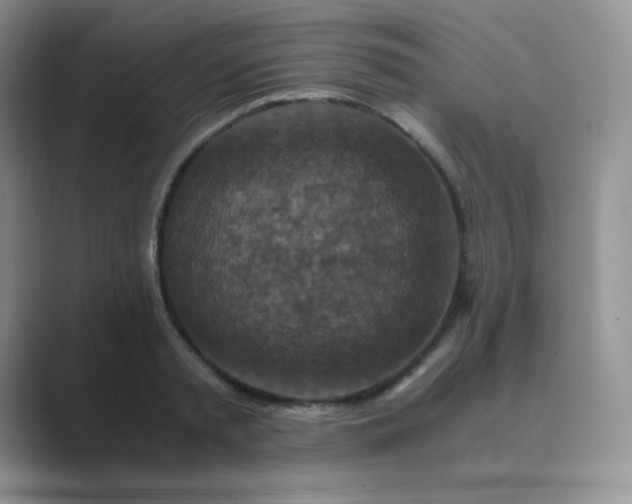 X0000089690797200707051624