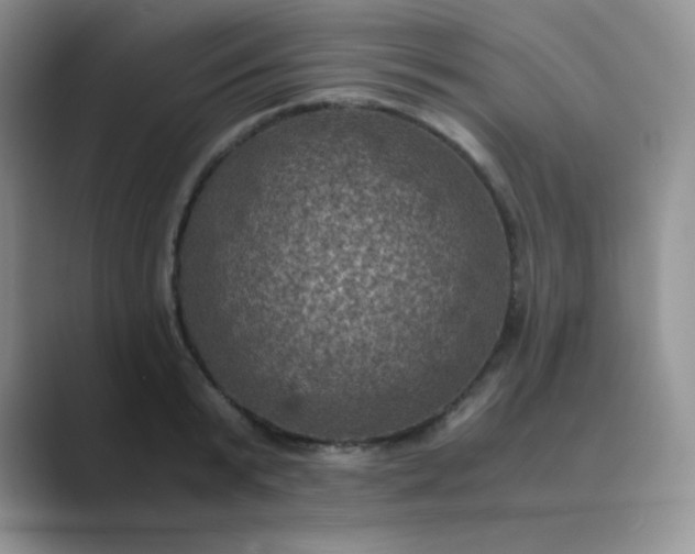 X0000089690799200707051624