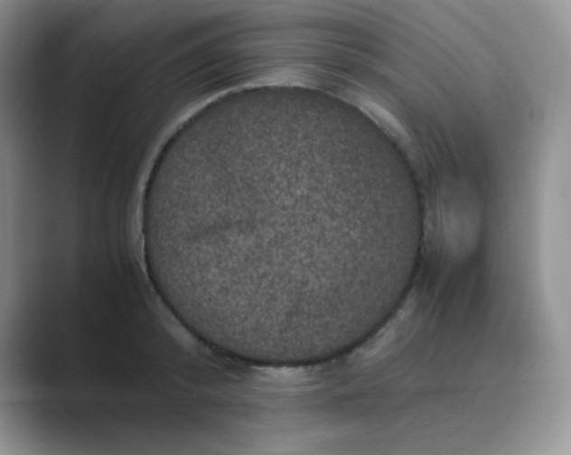 X0000089690800200707051624