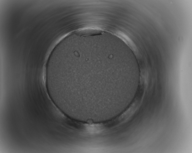 X0000089690804200707051624