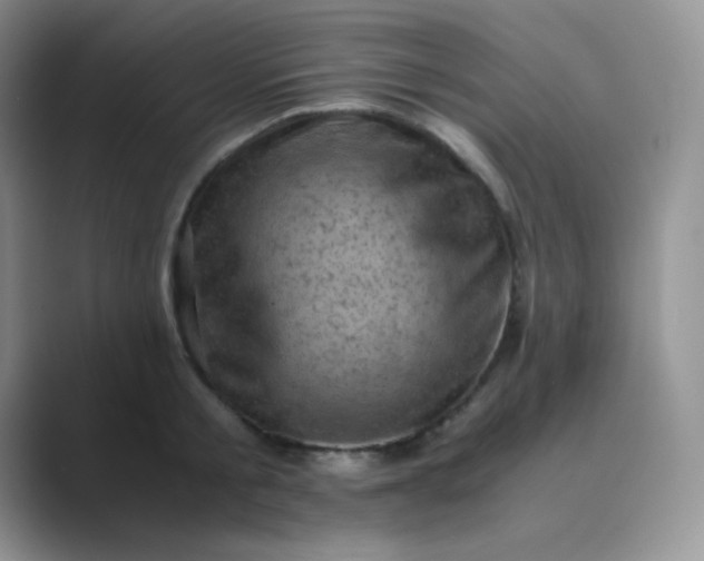 X0000089690805200707051624