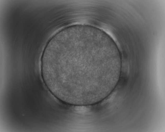 X0000089690807200707051624