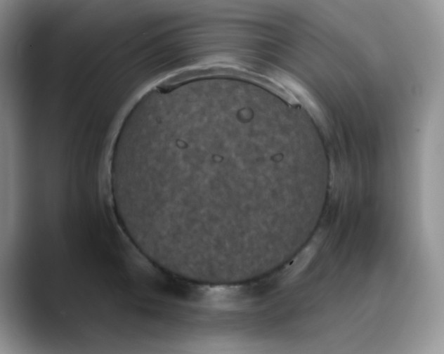 X0000089690808200707051624