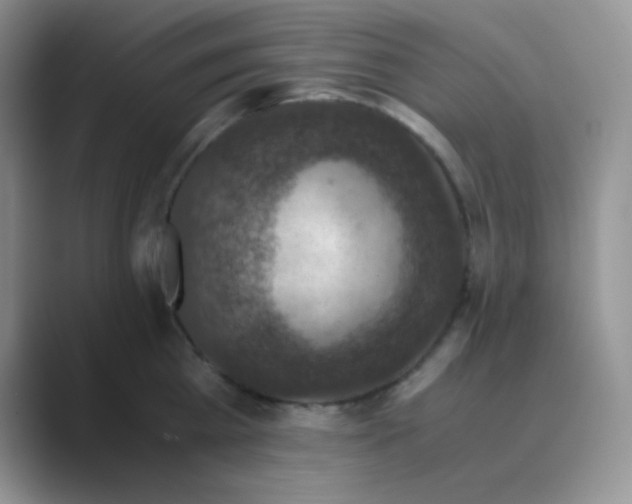 X0000089690809200707051624