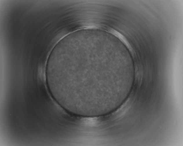 X0000089690810200707051624