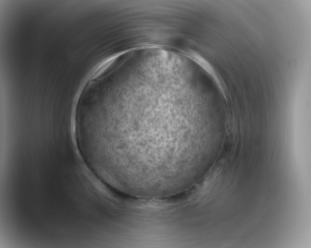 X0000089690811200707051623