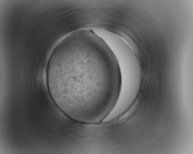 X0000089690812200707051623