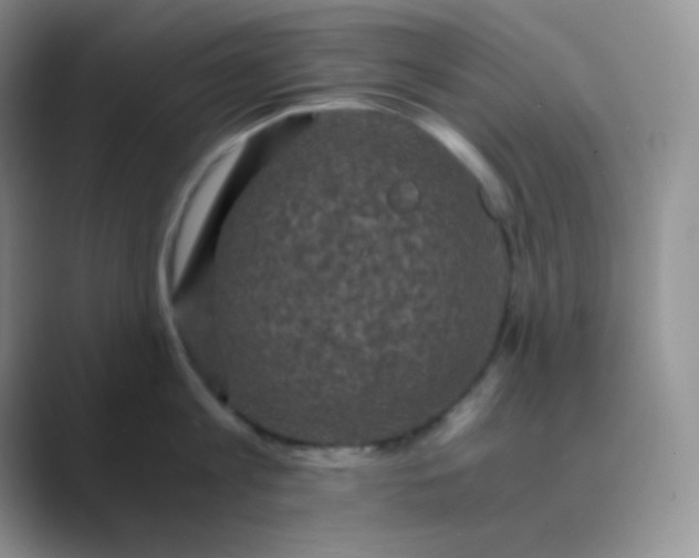 X0000089690813200707051623