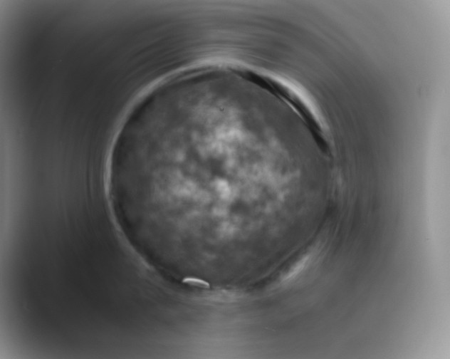 X0000089690815200707051623