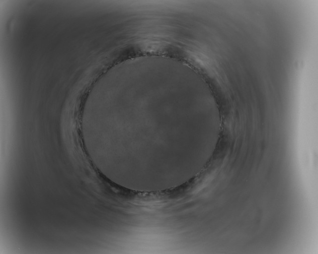 X0000089690817200707051623