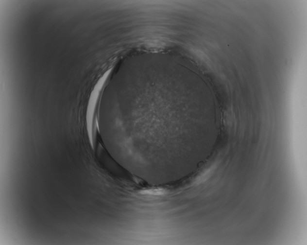 X0000089690818200707051623