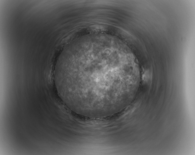 X0000089690819200707051623