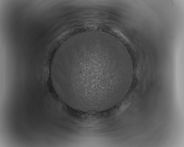 X0000089690821200707051623