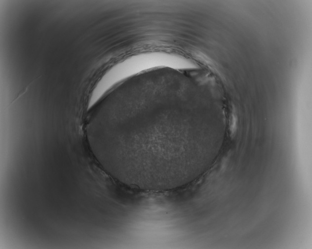 X0000089690822200707051623