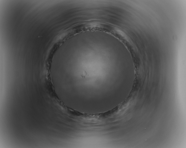 X0000089690823200707051623