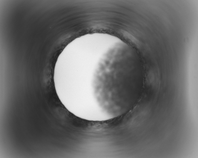 X0000089690824200707051623