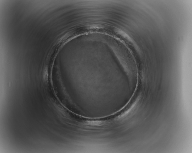 X0000089690825200707051623