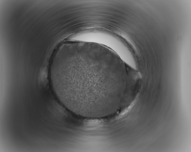 X0000089690826200707051623