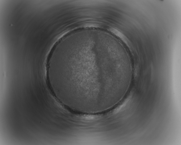 X0000089690829200707051623