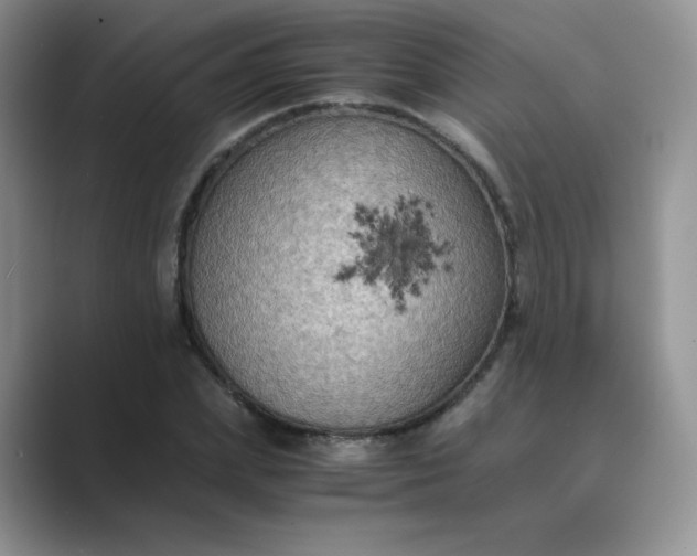 X0000089690831200707051623