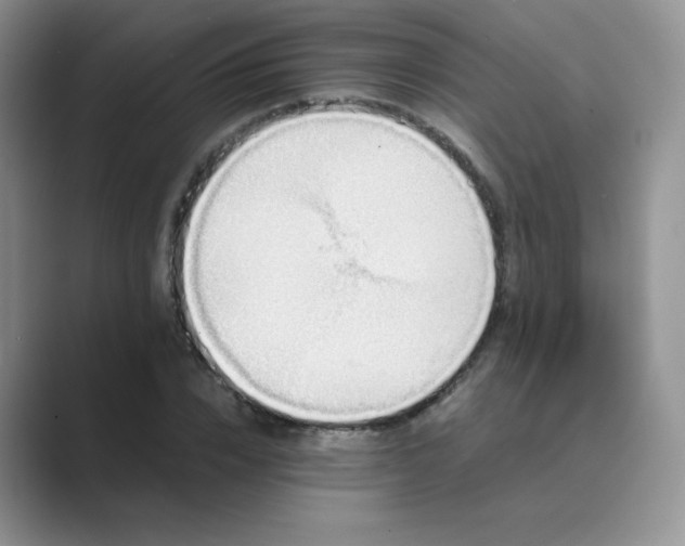 X0000089690832200707051623