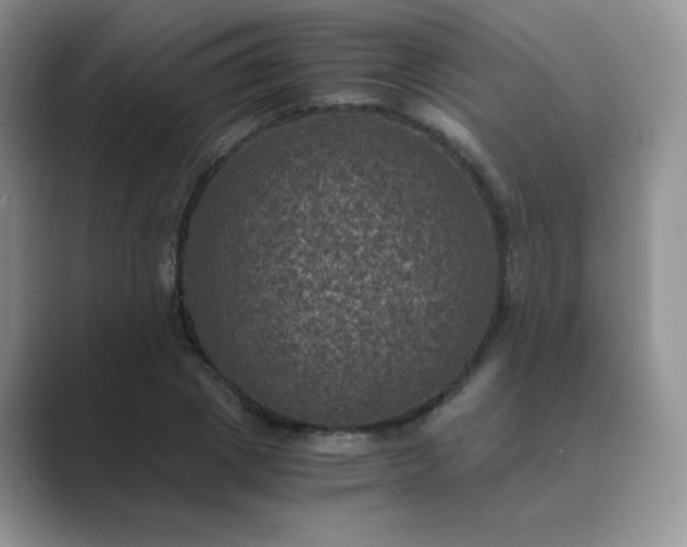 X0000089690833200707051623