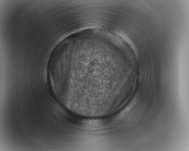 X0000089690834200707051623